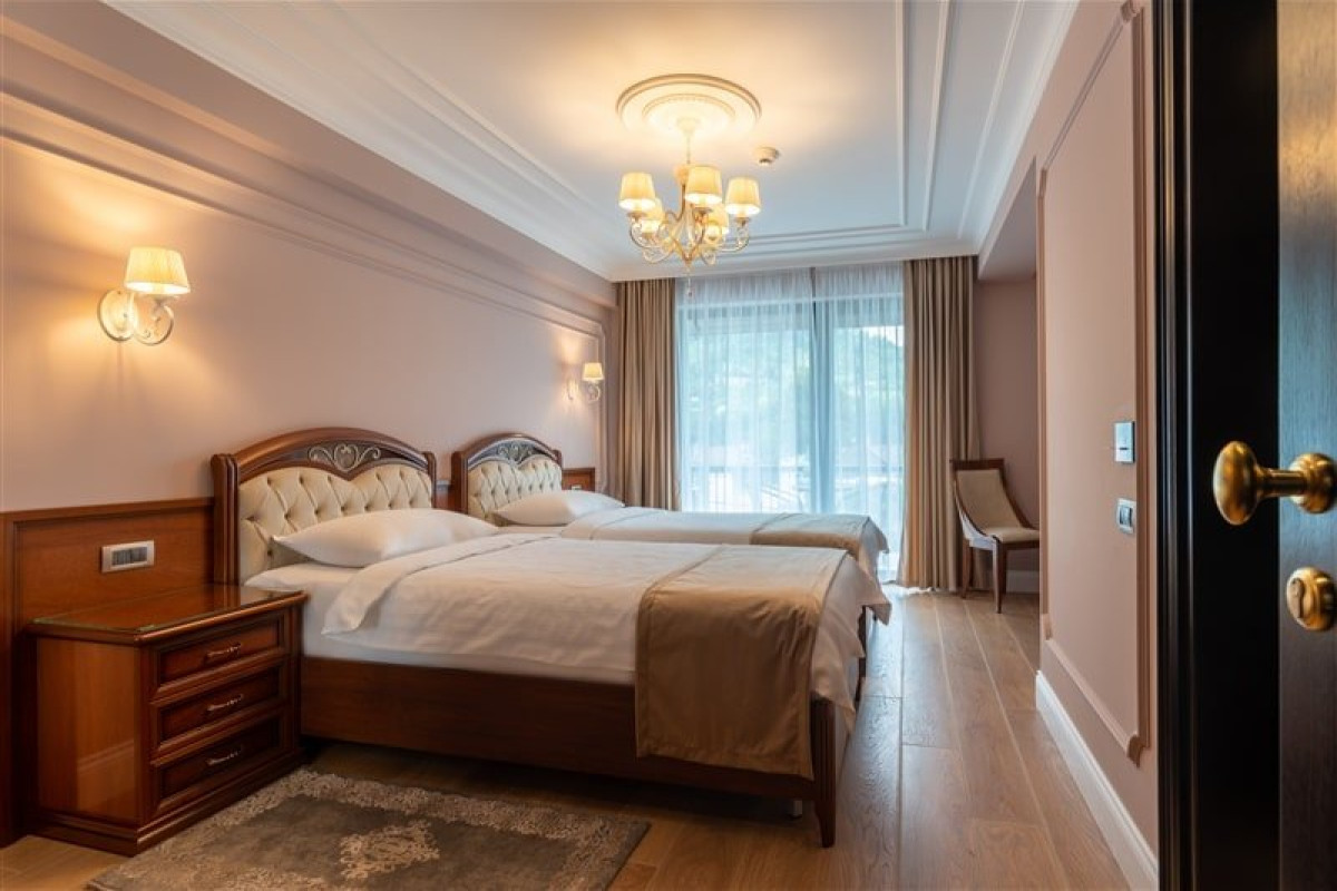 Hotel Gabriela (Viseul de Sus)..