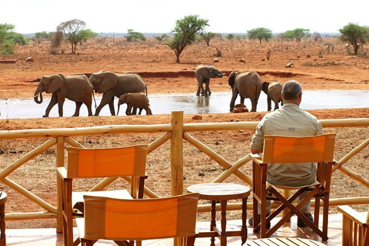 Safari Tsavo East - West (2 nopti) + Bamburi Beach (5 nopti)