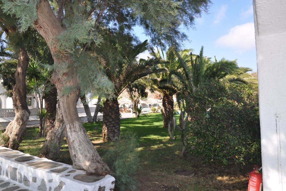 Aphrodite Beach