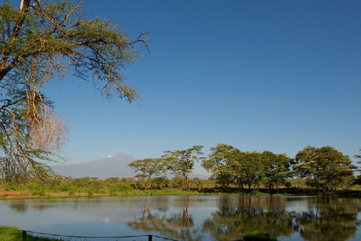 Safari Tsavo East - West (2 nopti) + Swahili Beach Resort (5 no