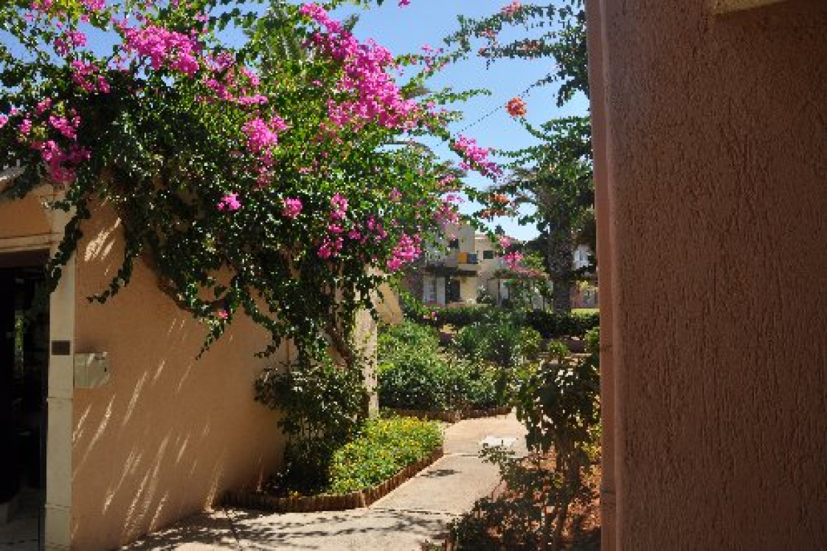 Sun Connect Zorbas Village