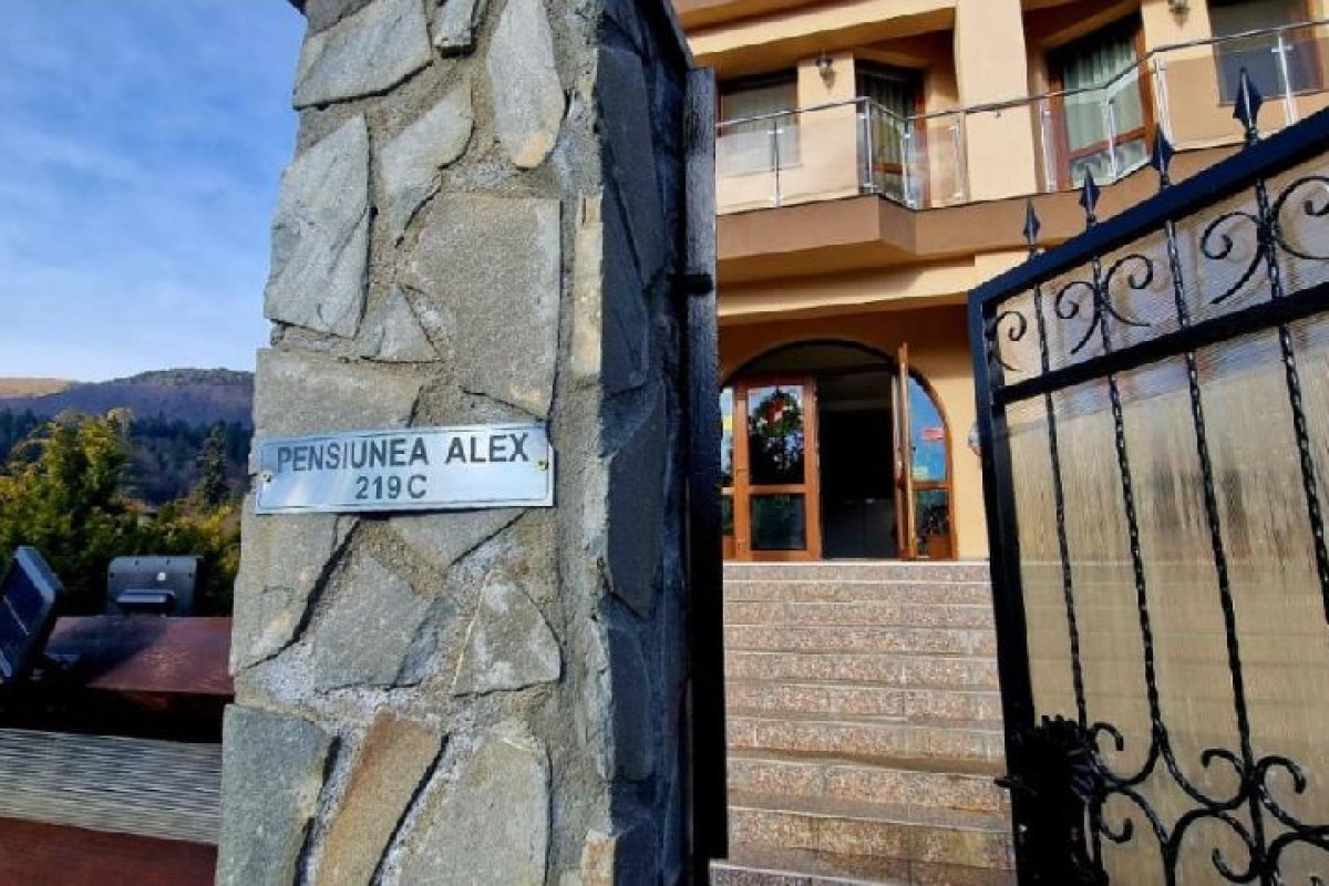 Pensiunea Alex CM