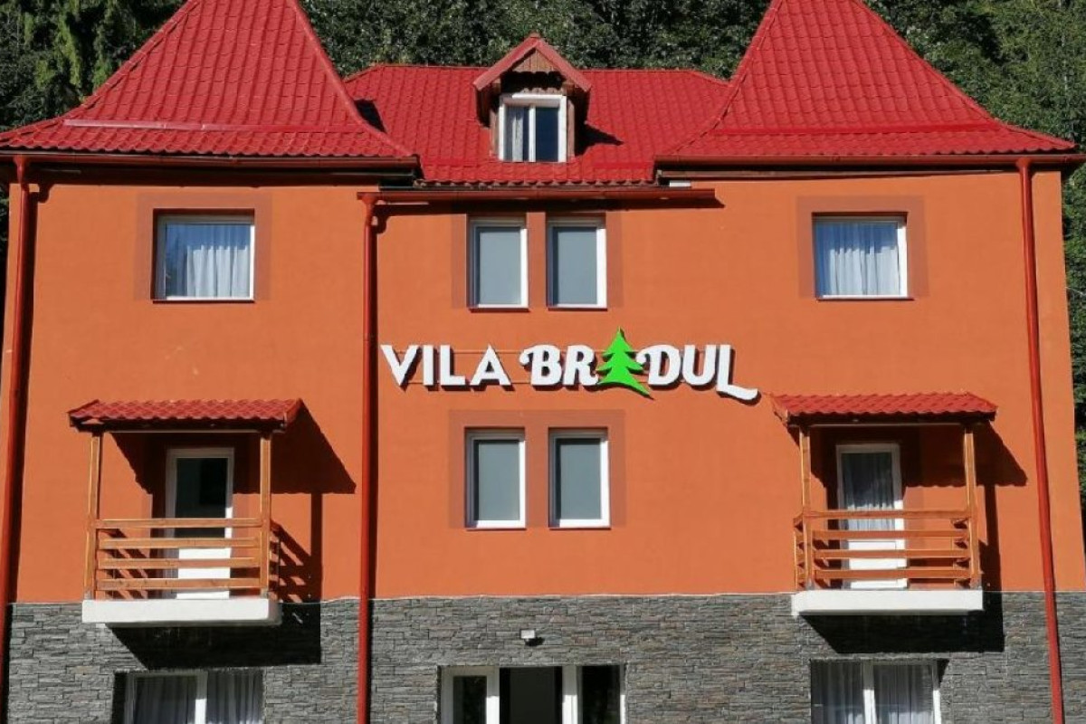 Vila Bradul