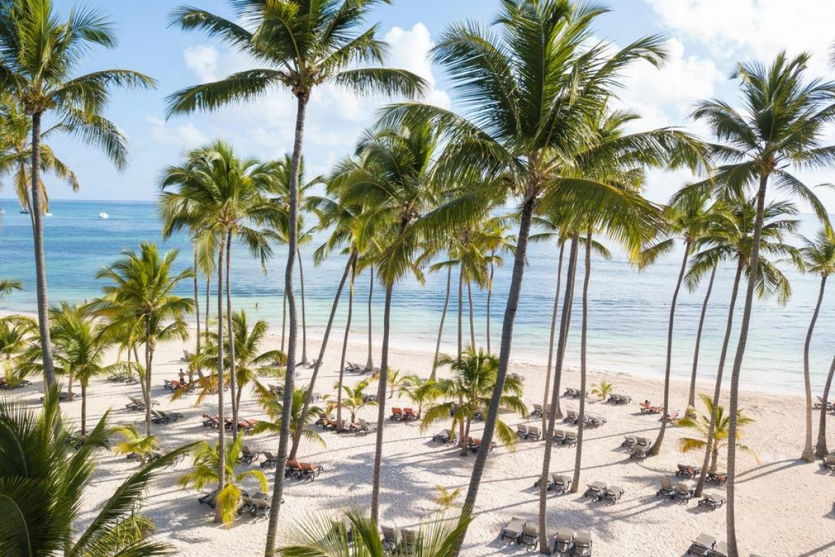 BARCELO BAVARO BEACH (adults only)