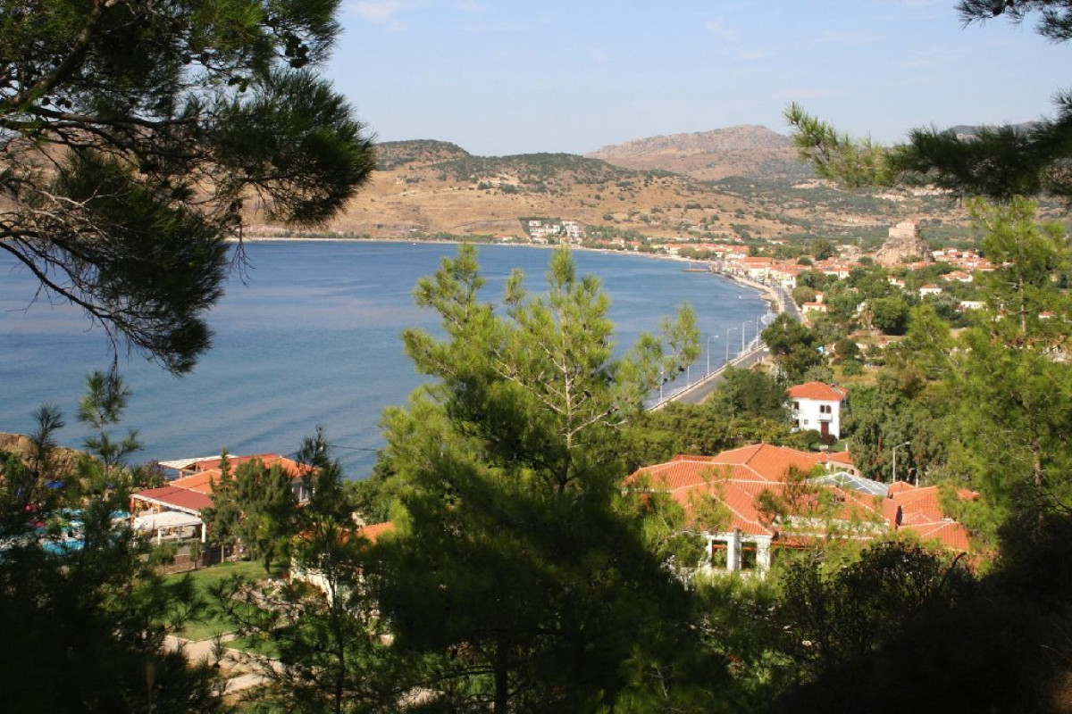 Hotel Alma (Petra)