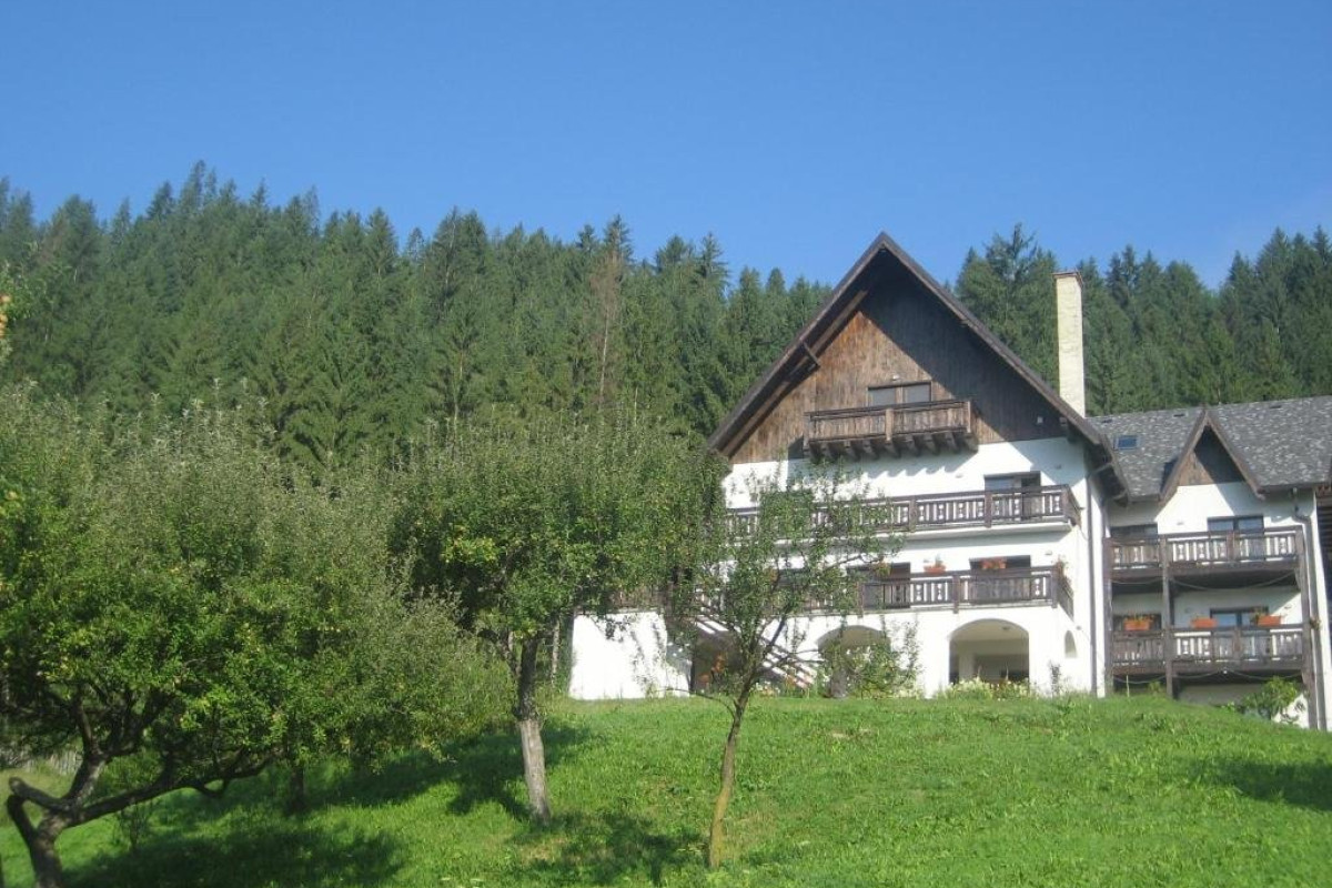 Bucovina  Lodge