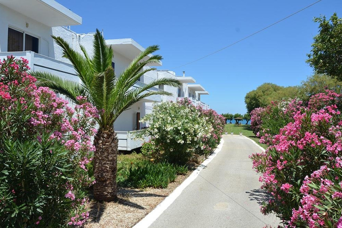 Arion (Adults Only 14+) - Kolymbari (C)