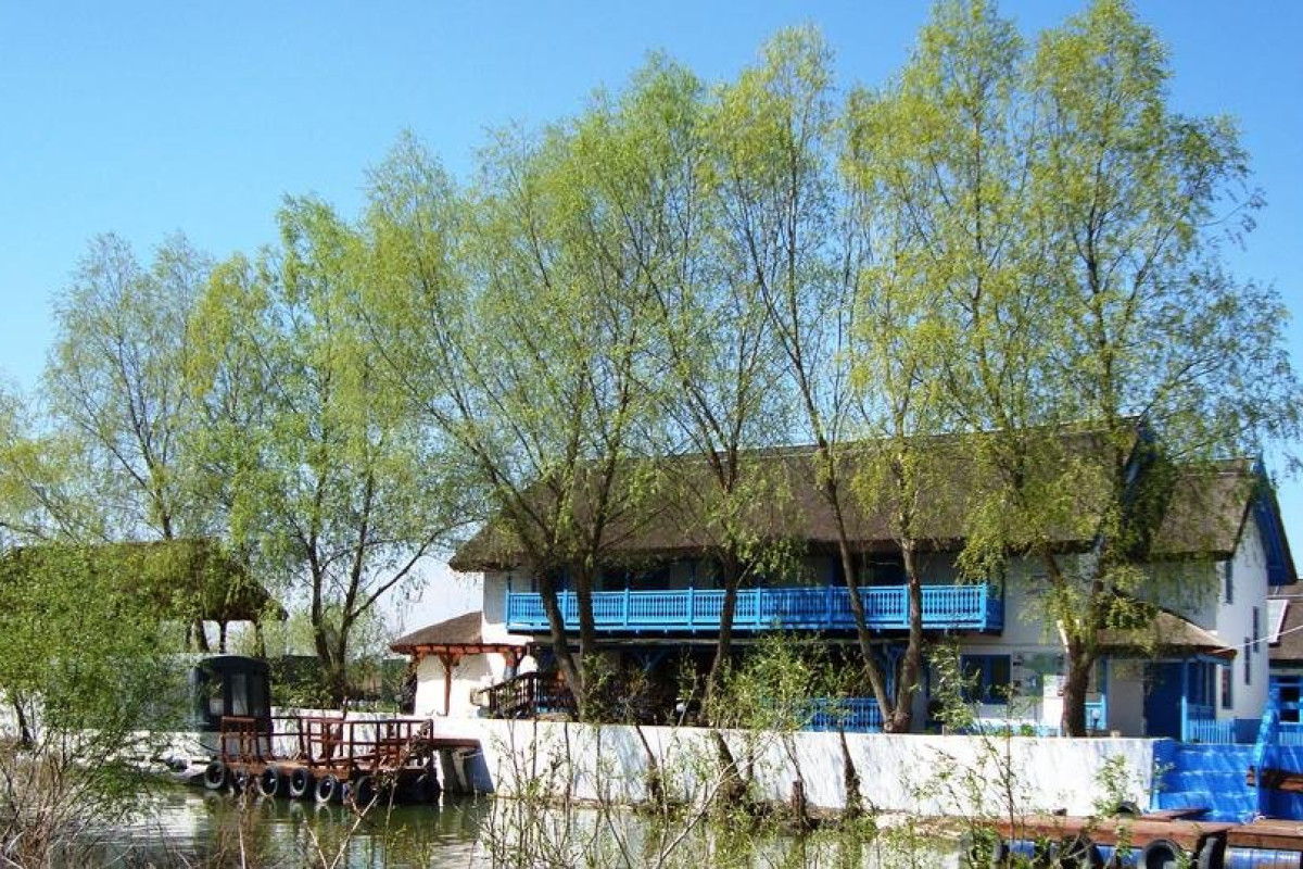 CASA DINTRE SALCII