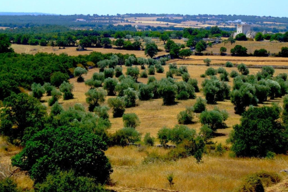 Victor Country Hotel (Alberobello)