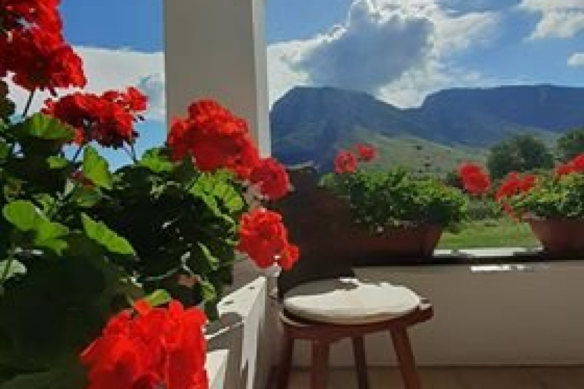 . Casa Kiraly Vendeghaz