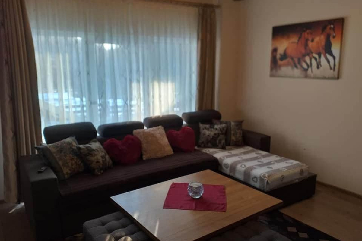 Cabana Poiana Nedi (Ciocotis)
