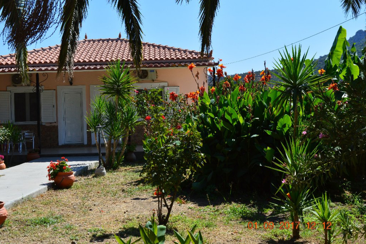 GARDEN VIEW APARTMENTS (Anaxos)