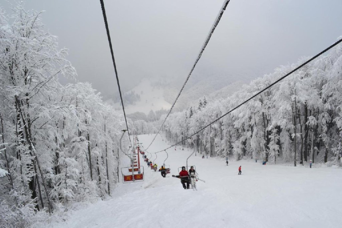 Cabane Cota 1000