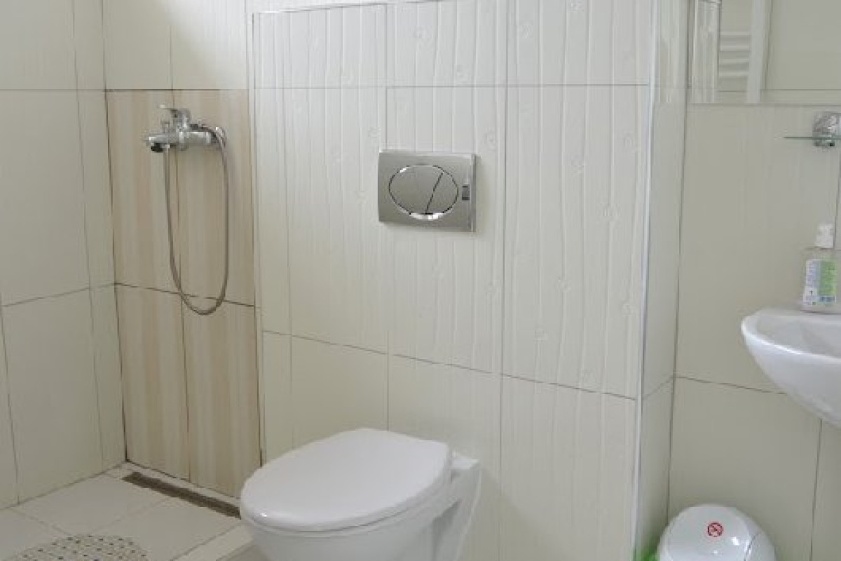 Vila Liliacul