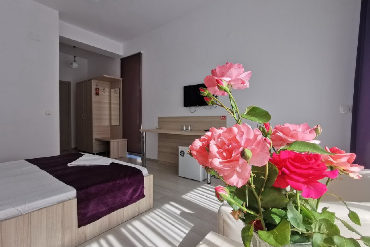 Q Hotel