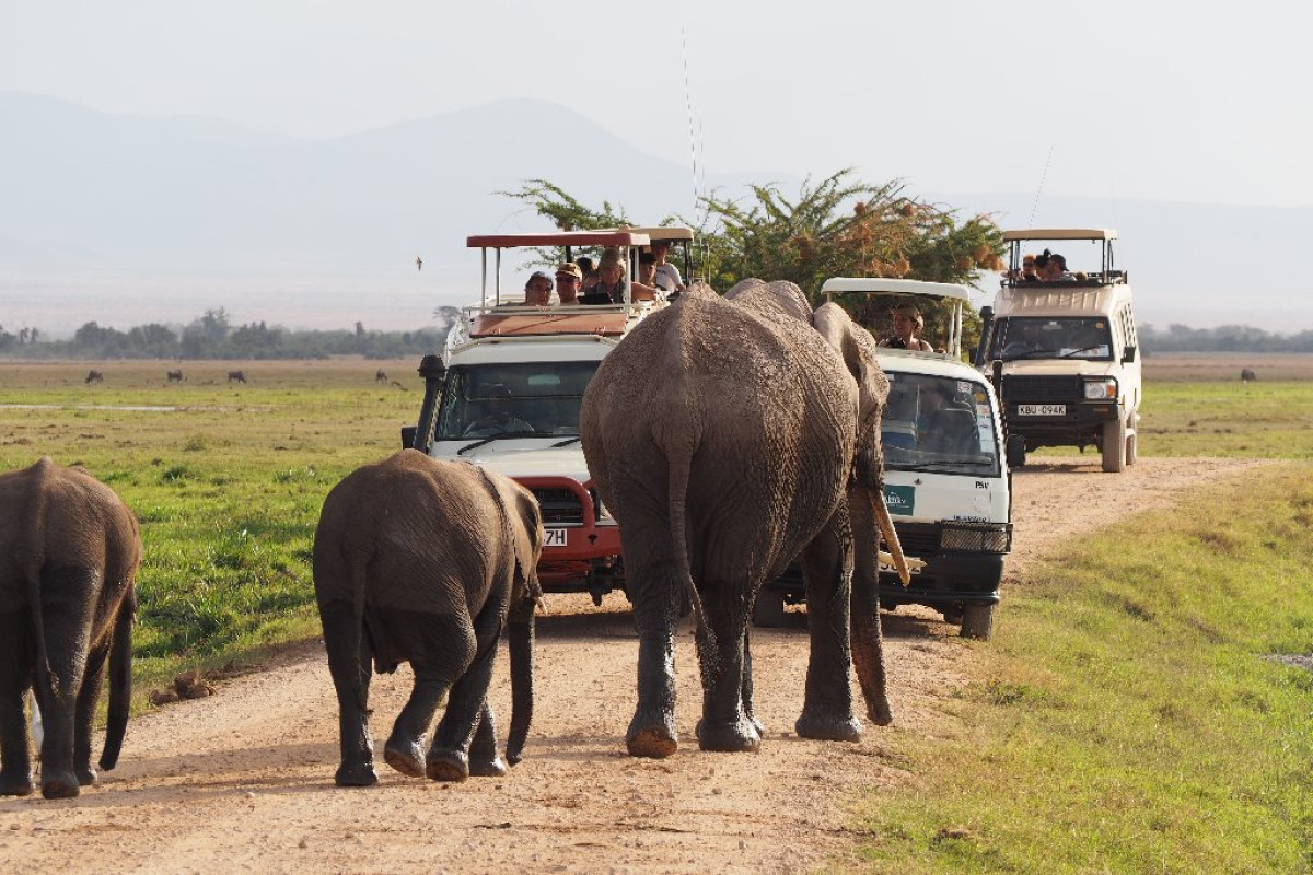 Safari Amboseli-Tsavo (3 nopti) + Diani Reef Beach (4 nopti)