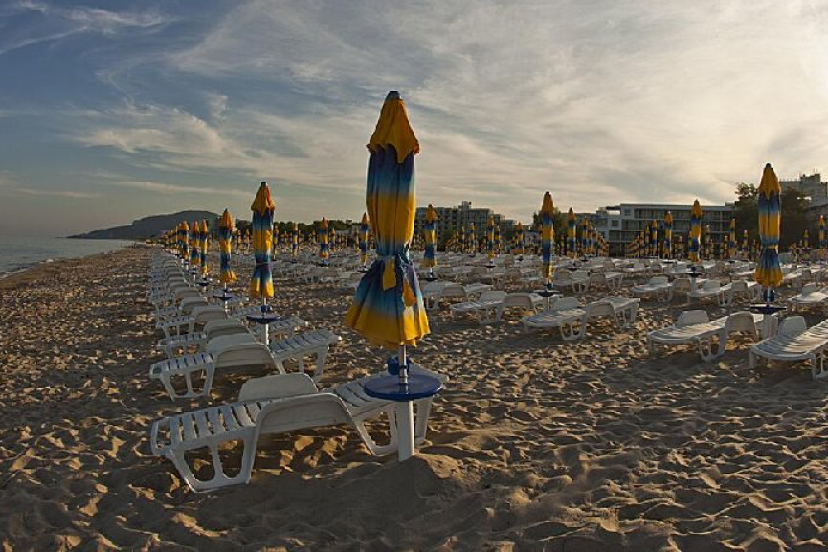 OASIS (Albena)