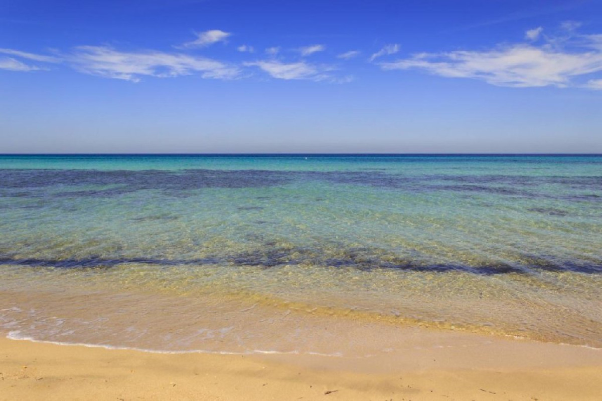 Corallo Apartaments - Torre Canne Apuglia