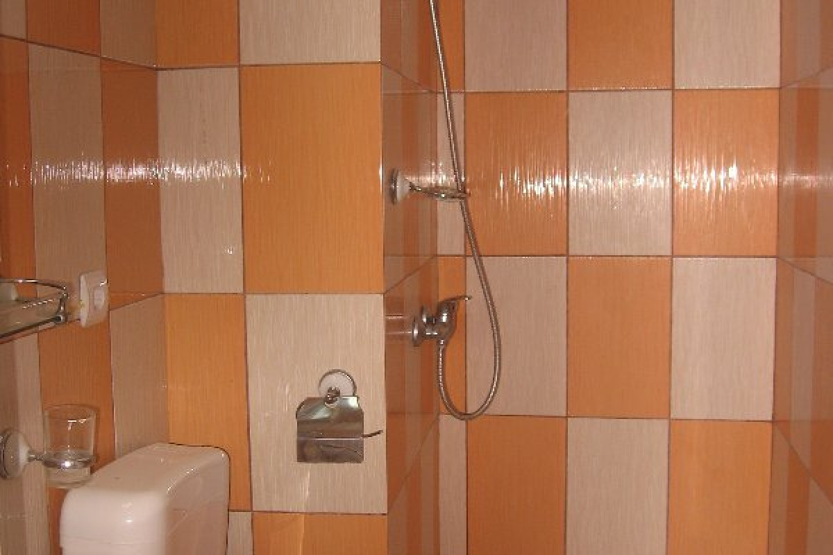 Rodica