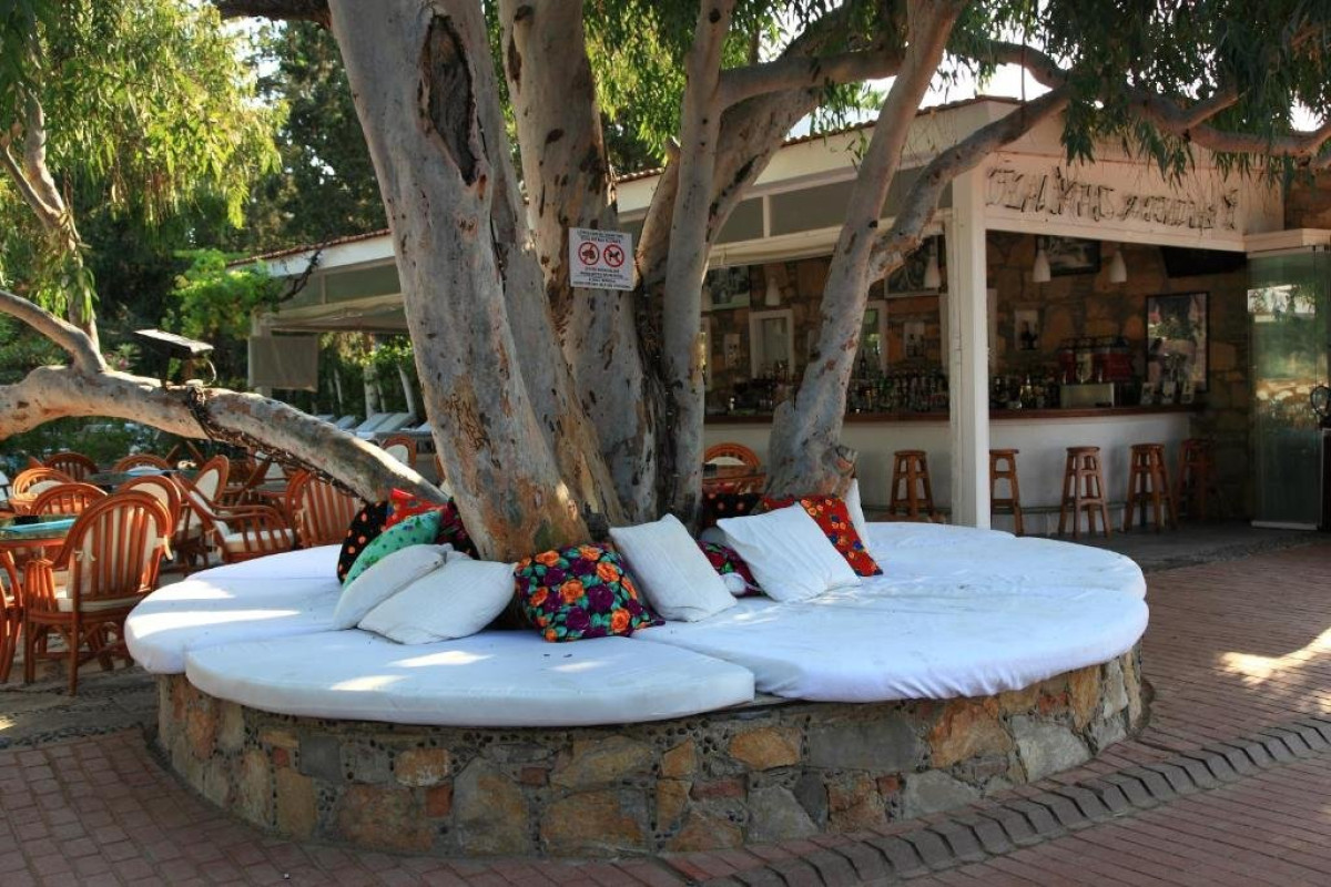OKALIPTUS HOTEL (Bitez)