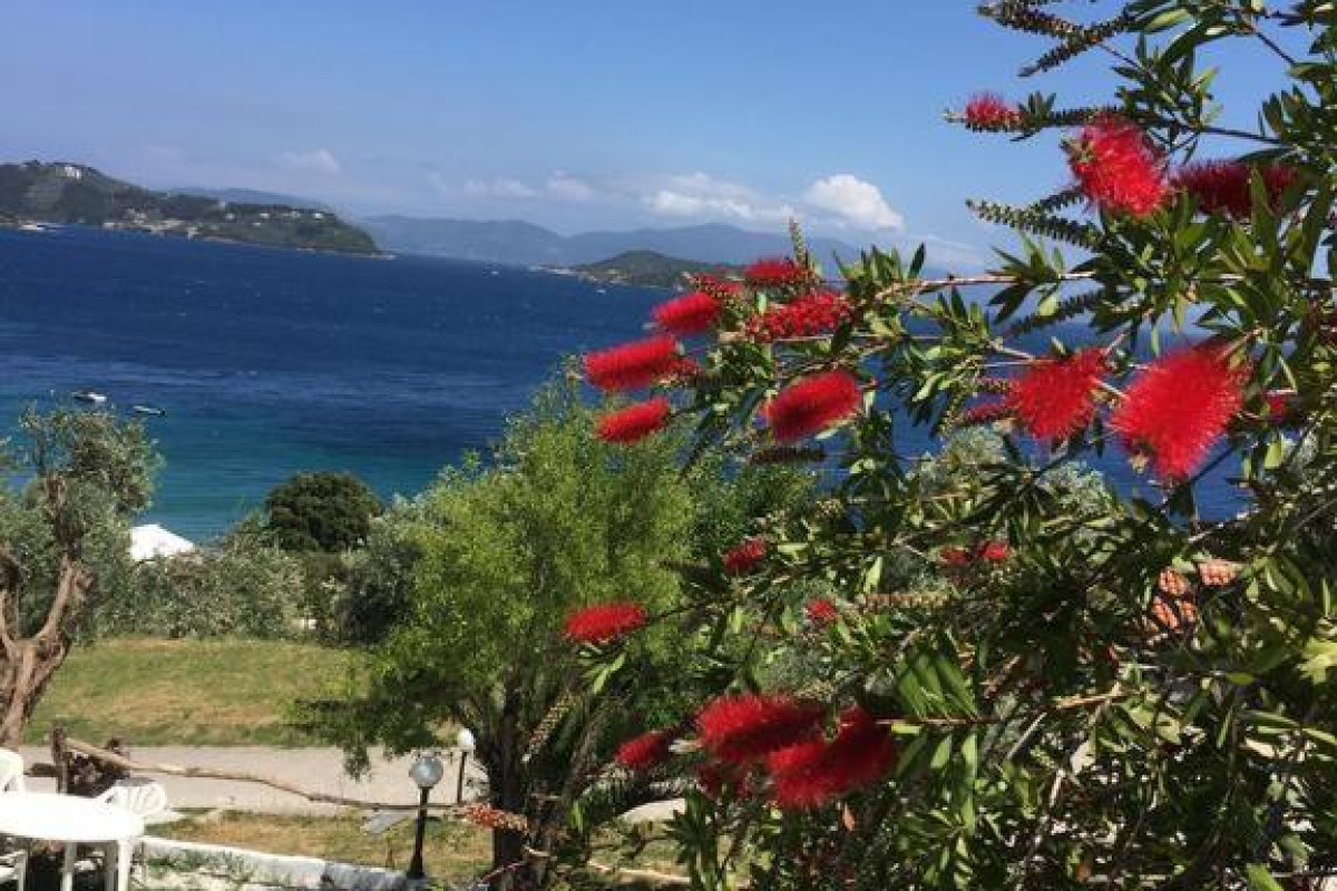 Vassilias Beach Hotel