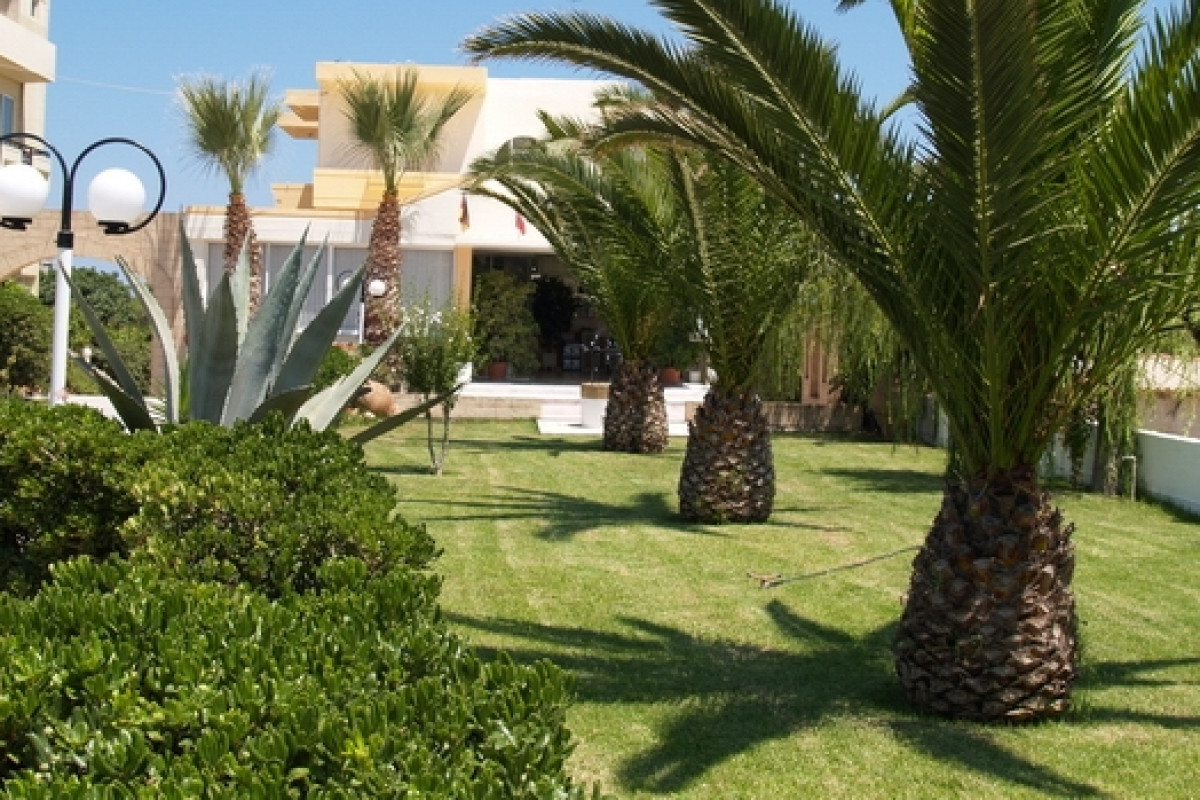 VENUS BEACH HOTEL