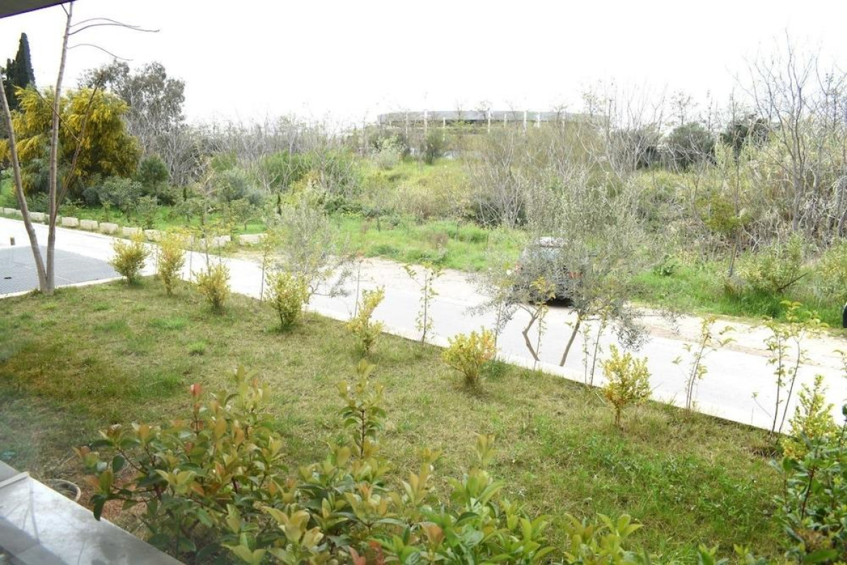 Verde Apartments