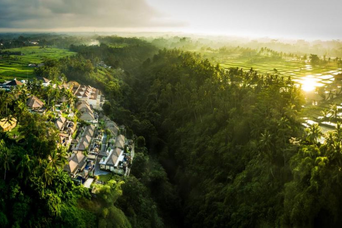 Viceroy Bali