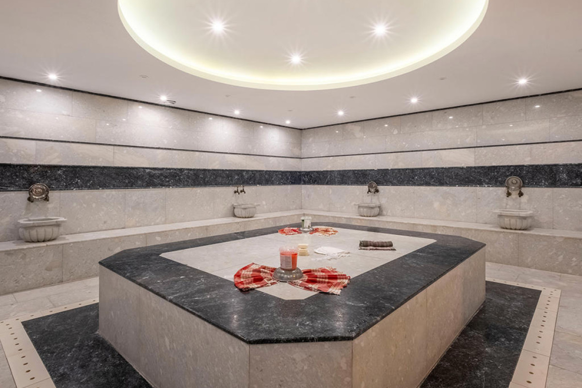 VIKING PARK HOTEL