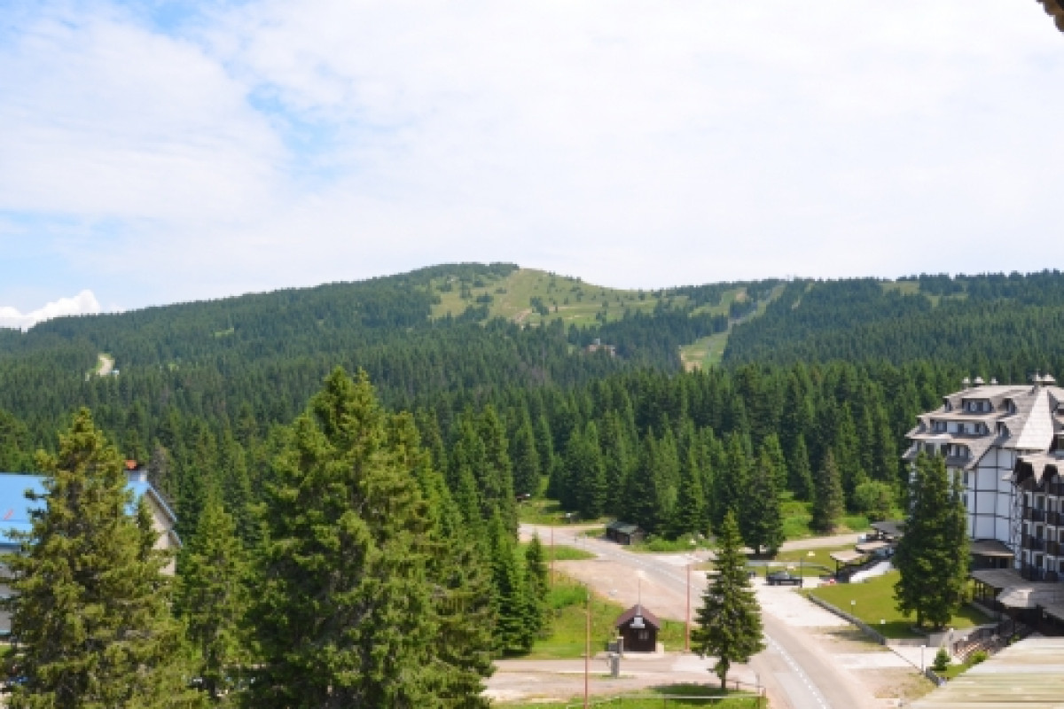 Vila Kopaonik