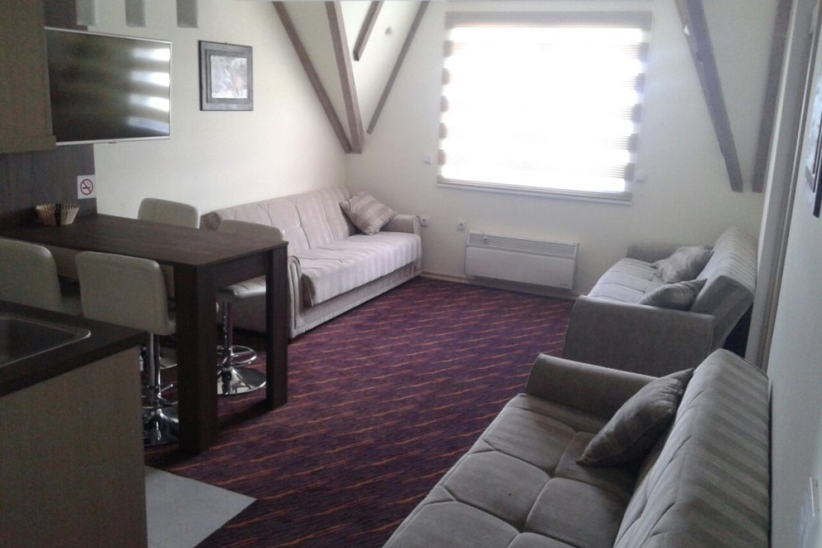 Vila Kopaonik
