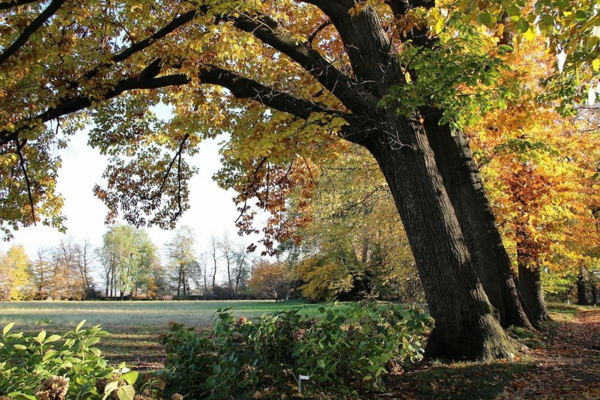 Villa Doria il Torrione