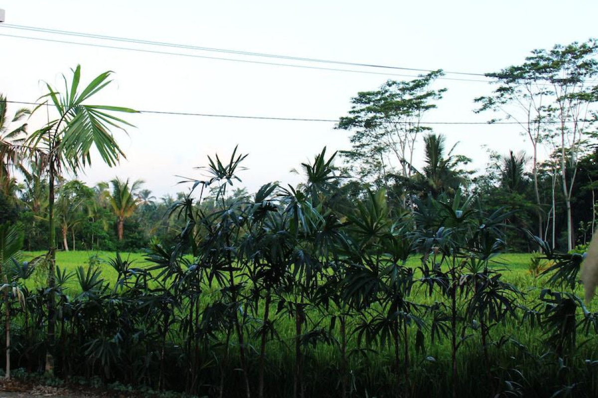 Villa Kemuning