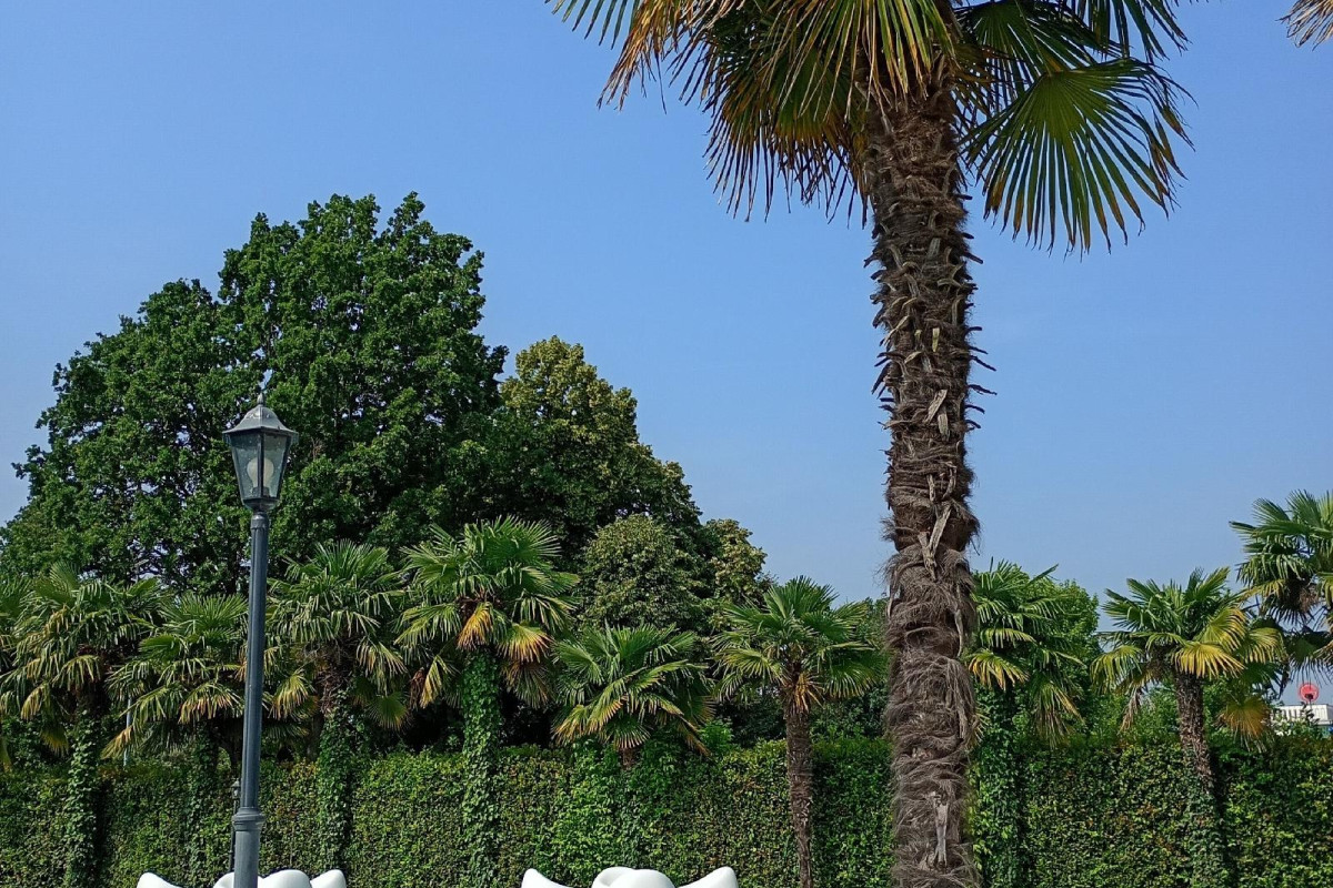 Villa Pace Park Hotel Bolognese