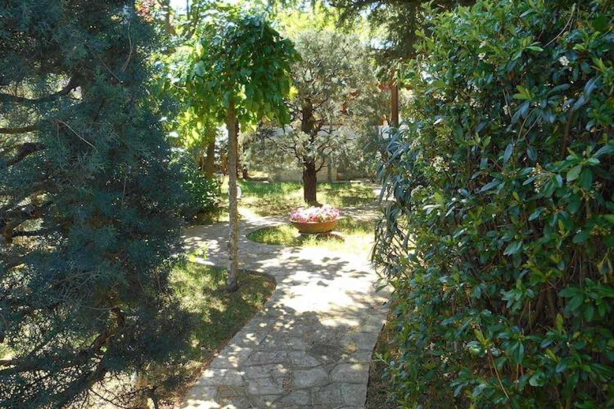 Villa Palmisani