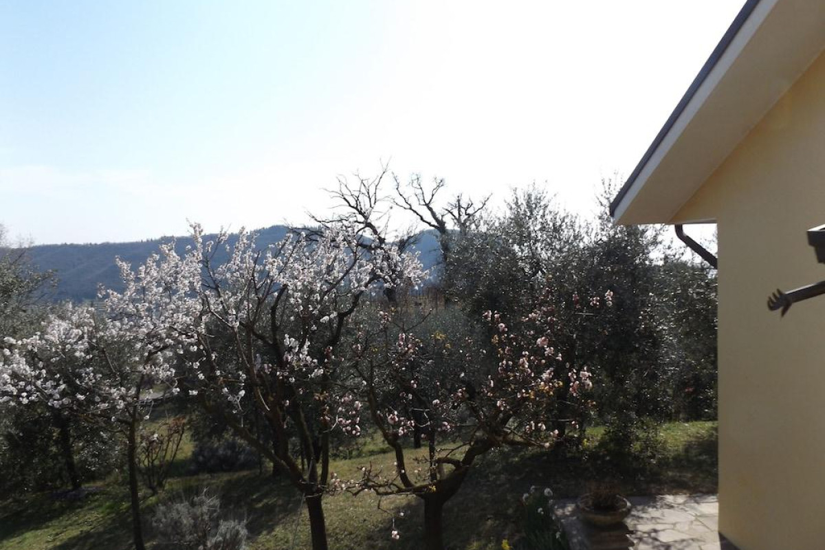 Villa Rocca