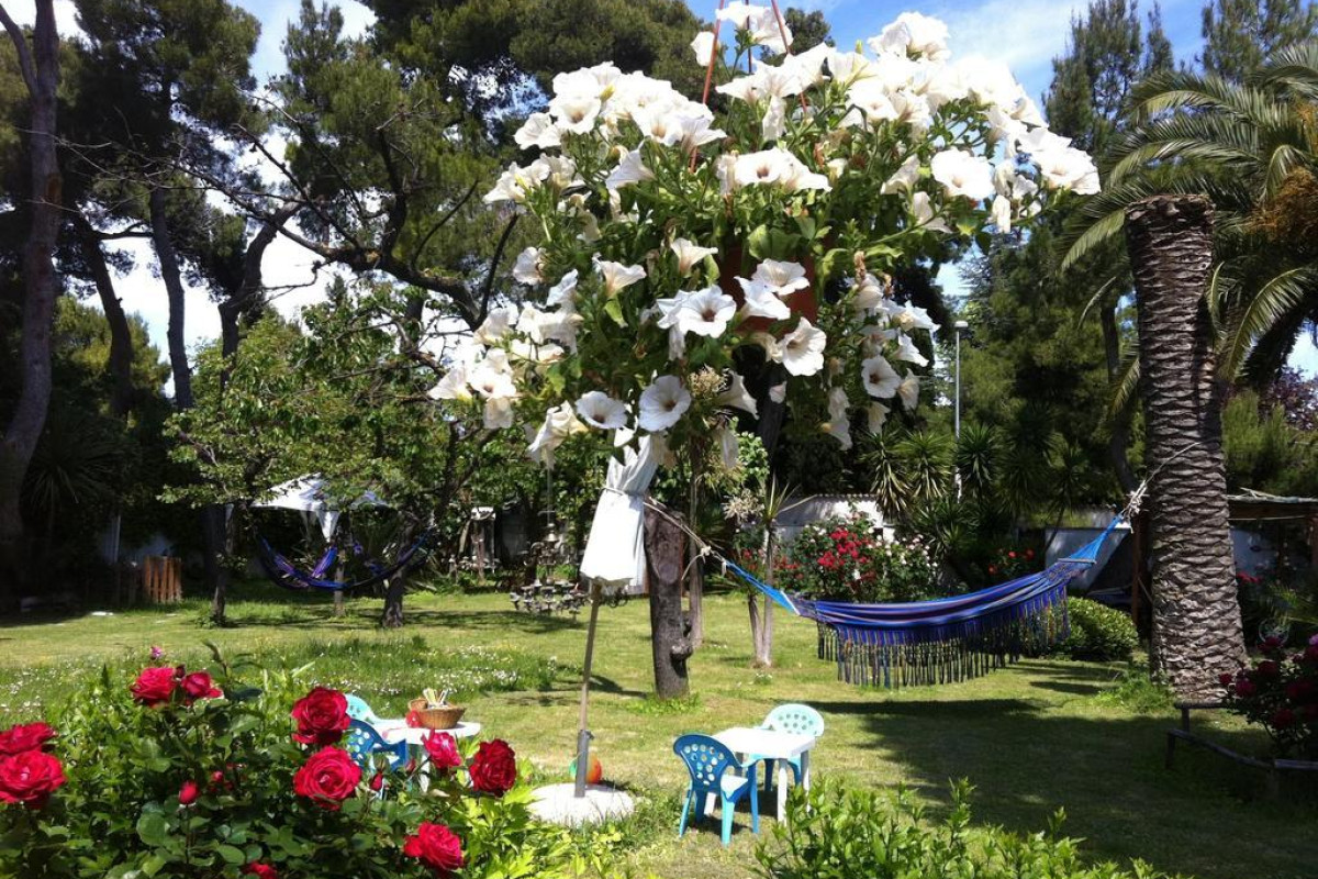 Villa Tropical