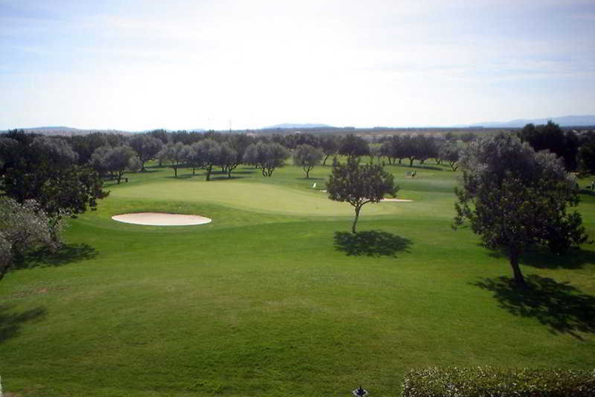 Villages Golf Panoramica