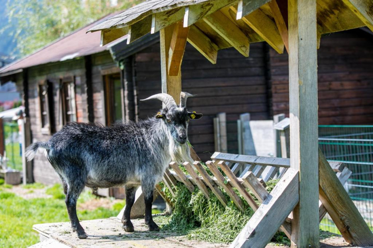 Vitalhotel Gosau