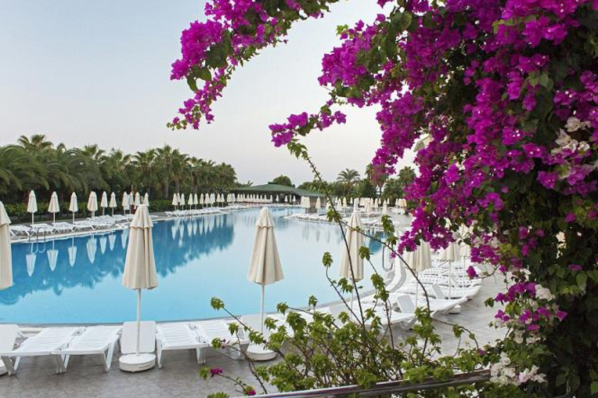 VONRESORT ELITE
