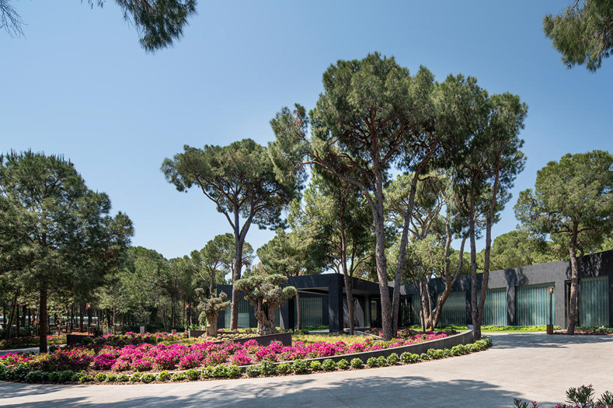 VOYAGE BELEK WINTER