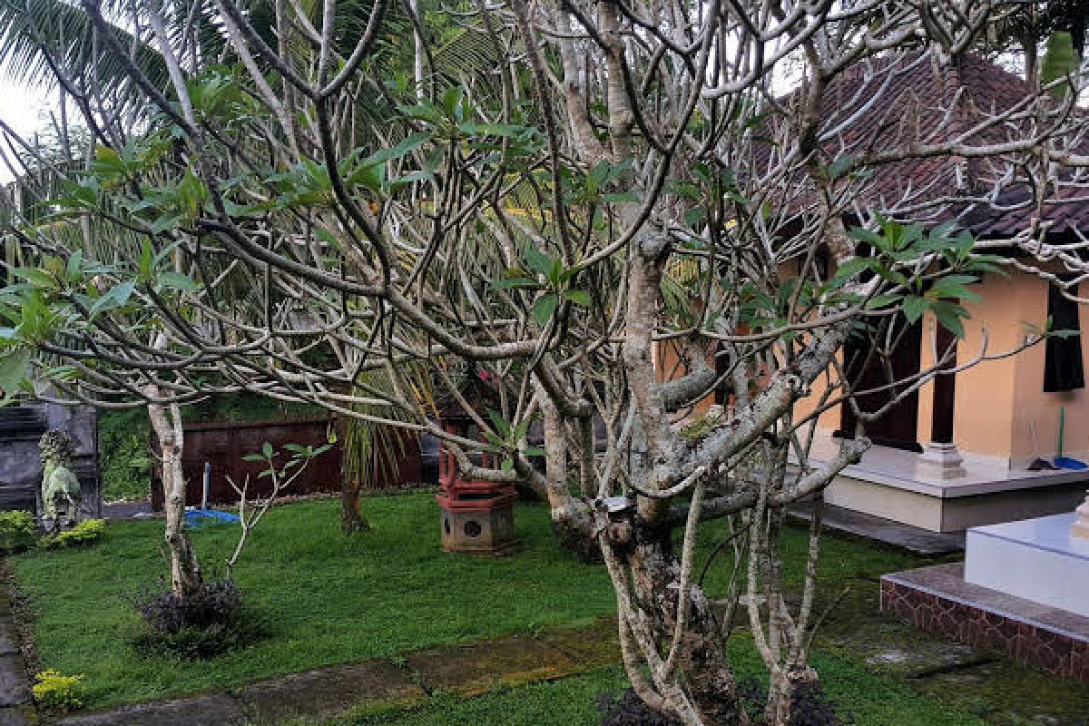 Wahyu Dewata Villa