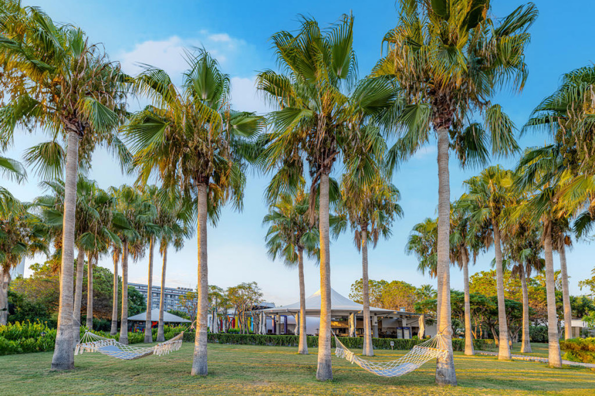 WASHINGTON RESORT HOTEL