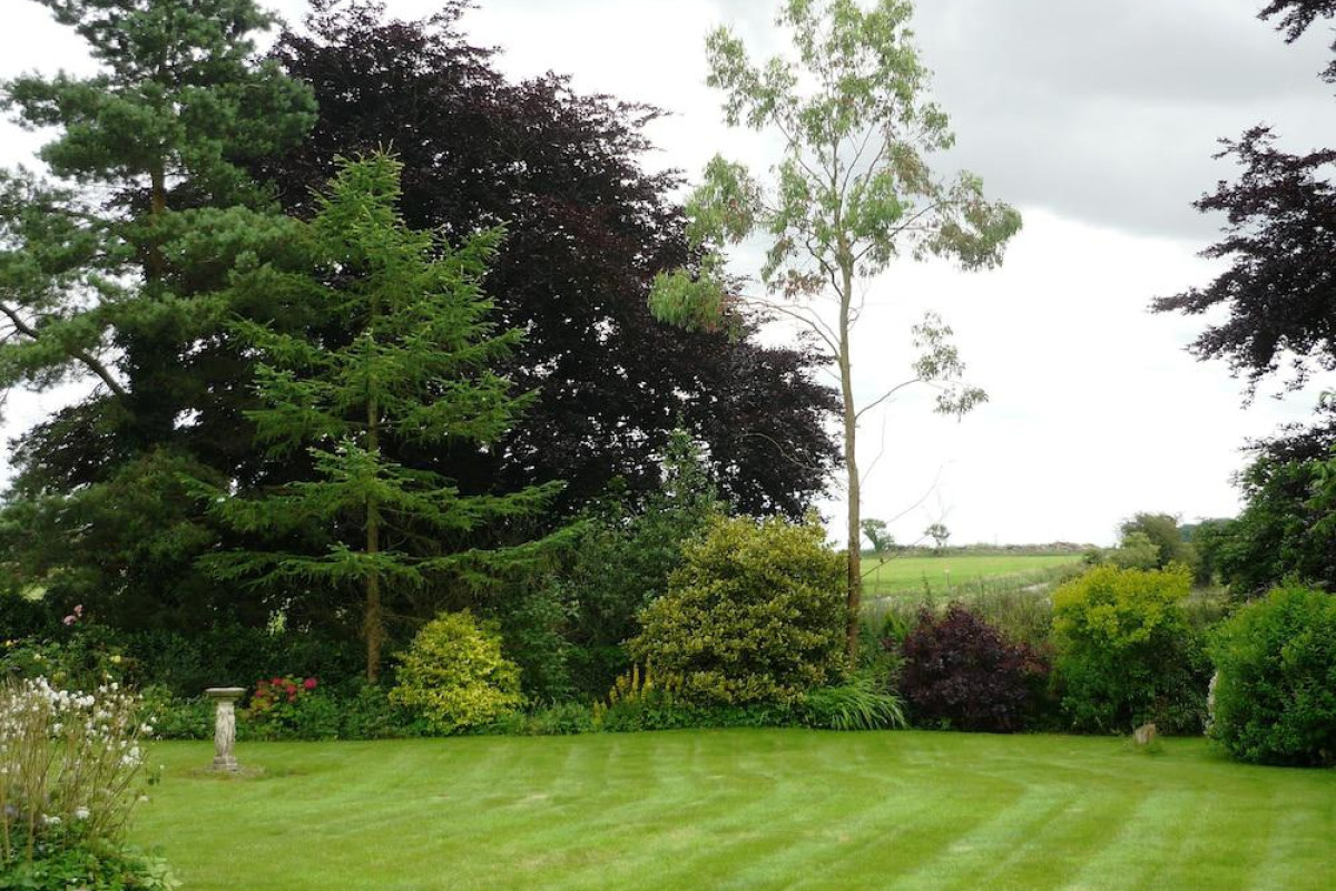 Windylands