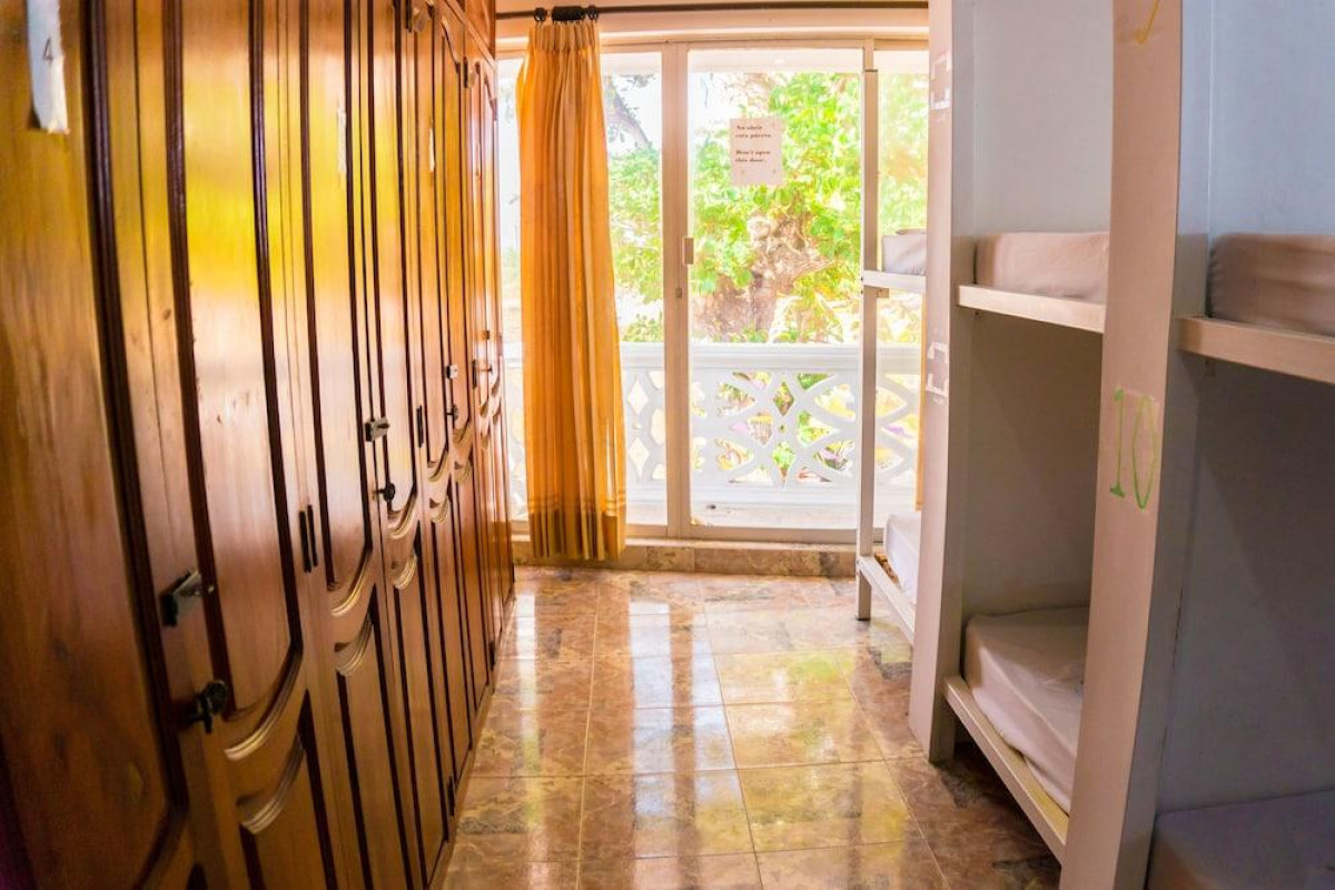Wonderland Party Hostel