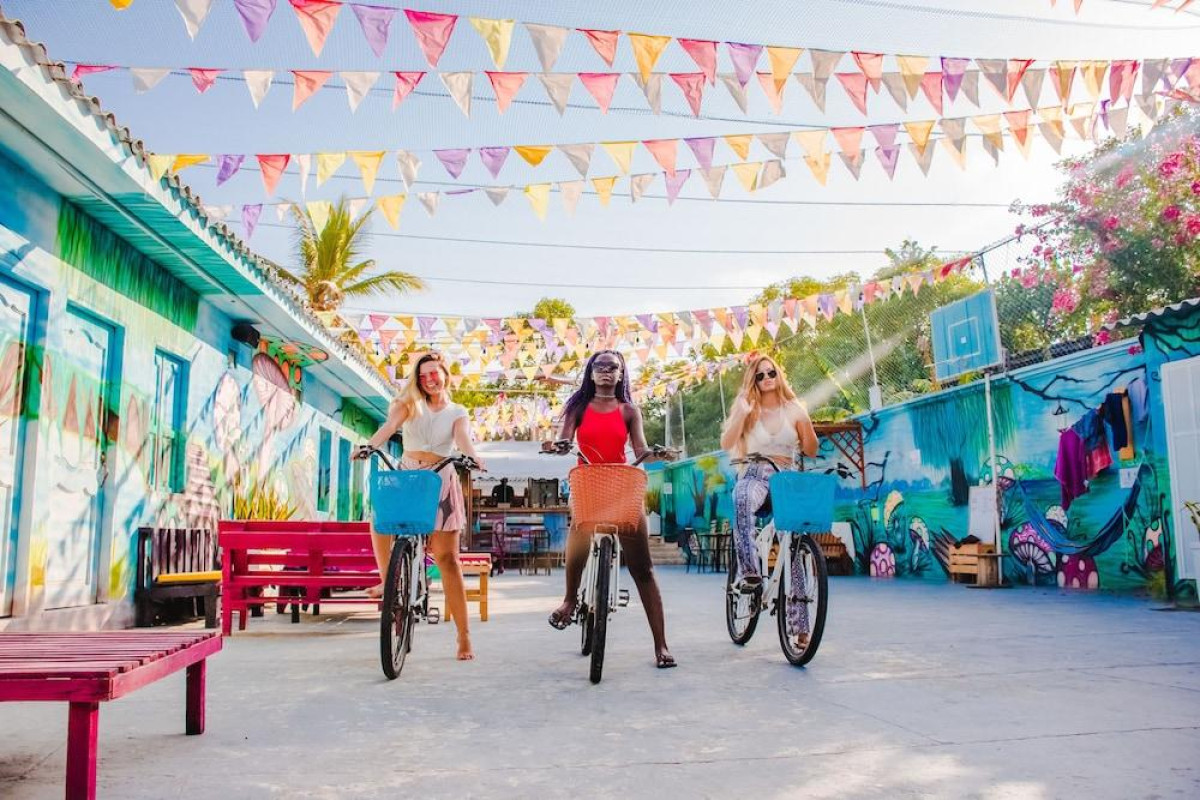 Wonderland Party Hostel