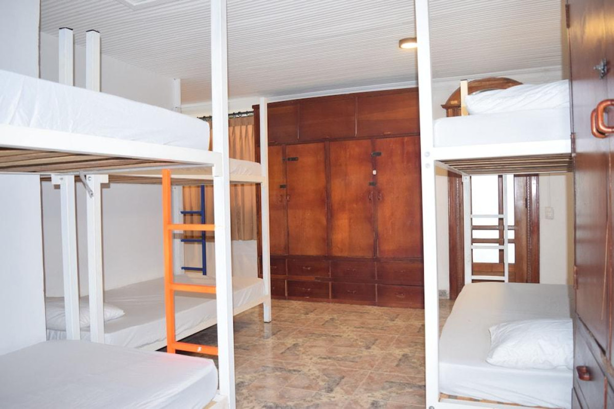 Wonderland Party Hostel