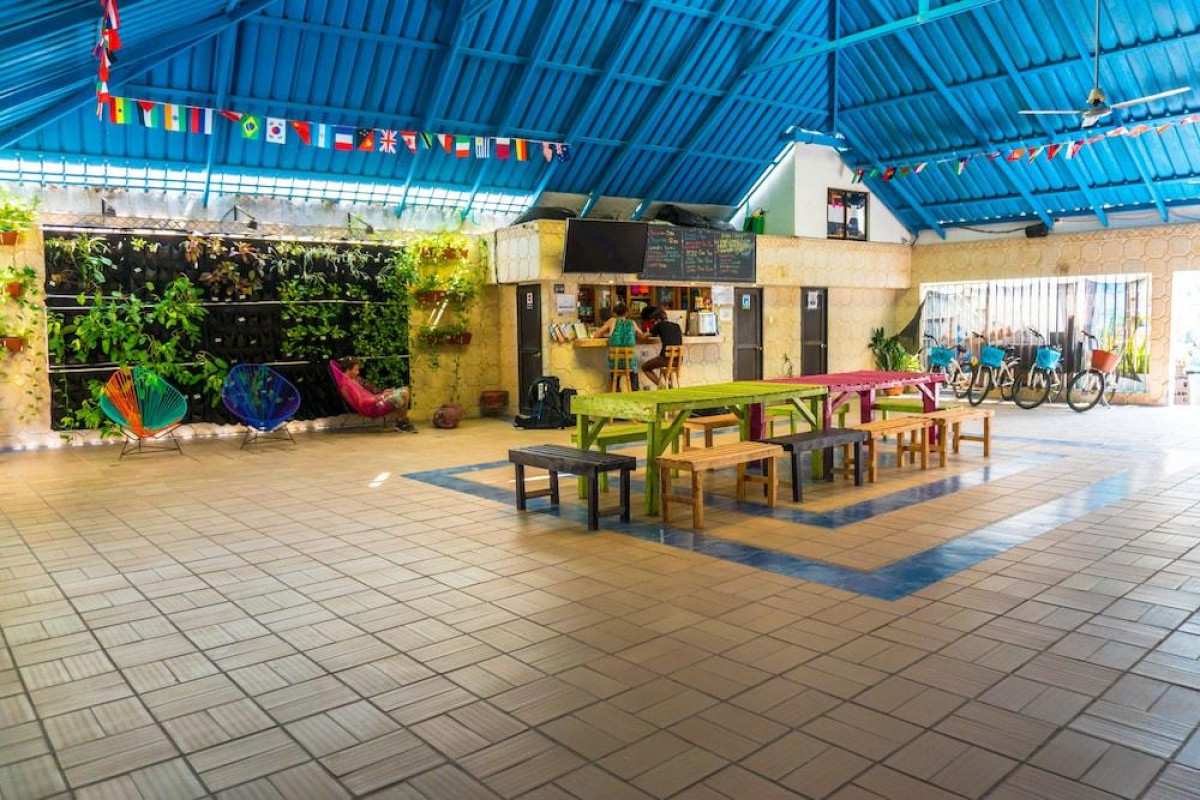Wonderland Party Hostel