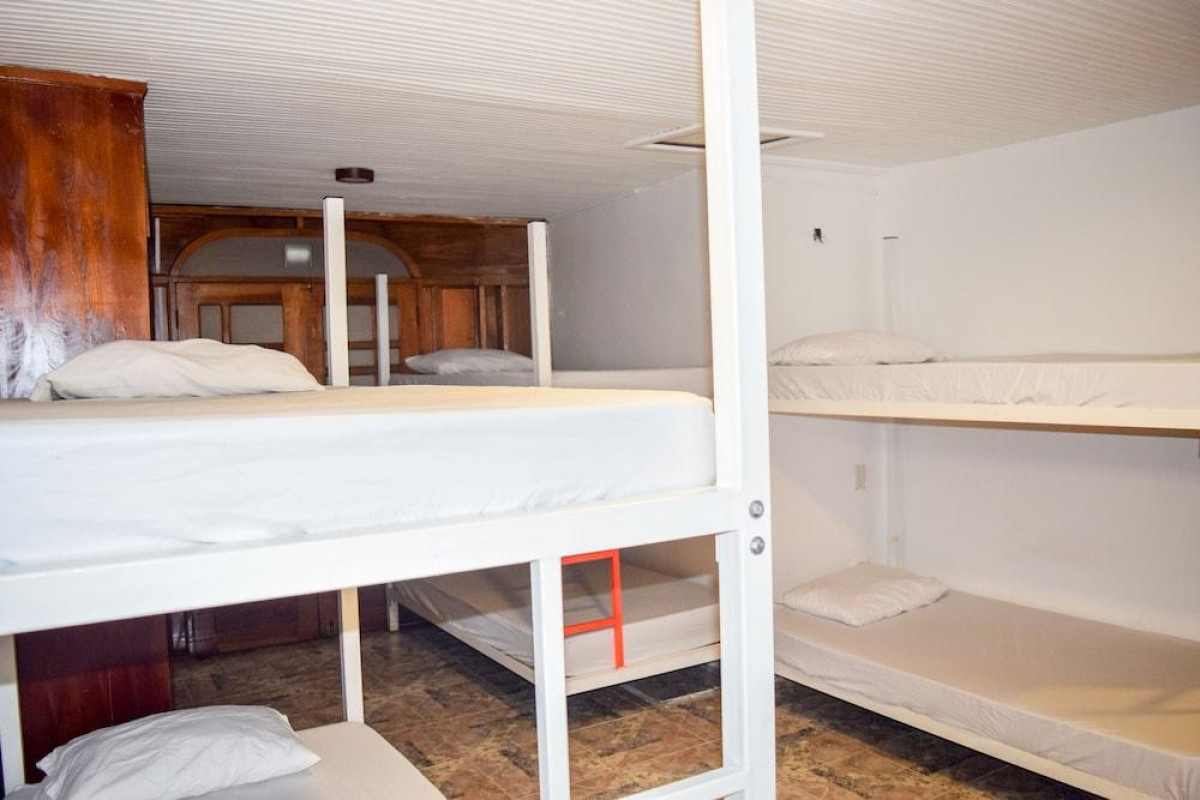 Wonderland Party Hostel