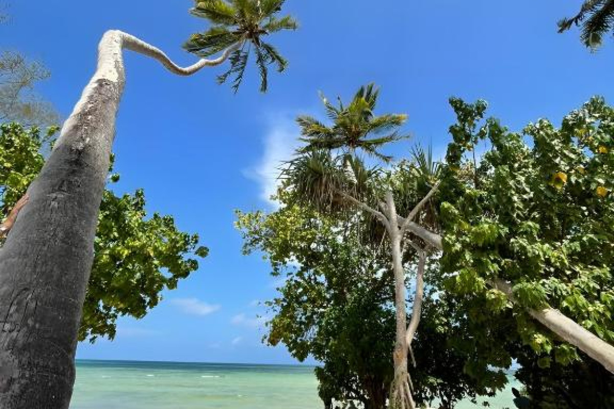 Ycona Eco-Luxury Resort